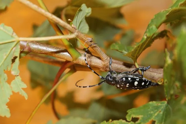 2019-10-01_alb_zuschnitt-jb.jpg (DE)