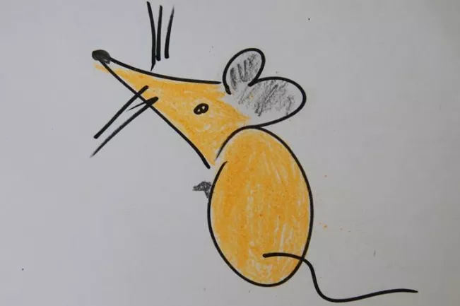 Maus(DE)