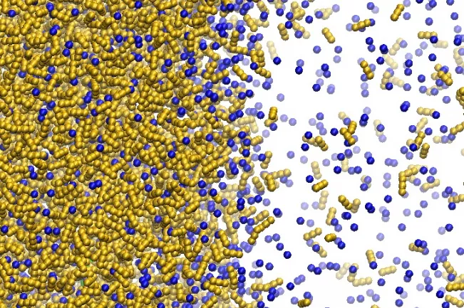 skasim_schenk.jpg (DE)