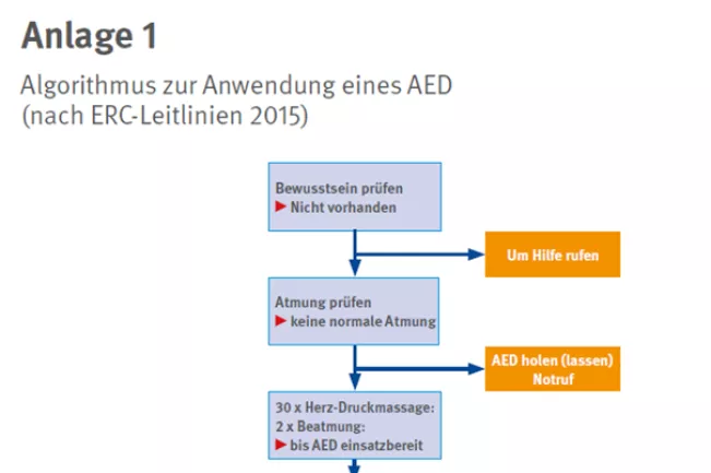 dguv_ablauf_wiederbelebung2.png (DE)