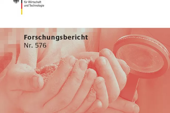 forschungsbericht_rahmenbedingungen_fhs_bmwi_2008.jpg (DE)