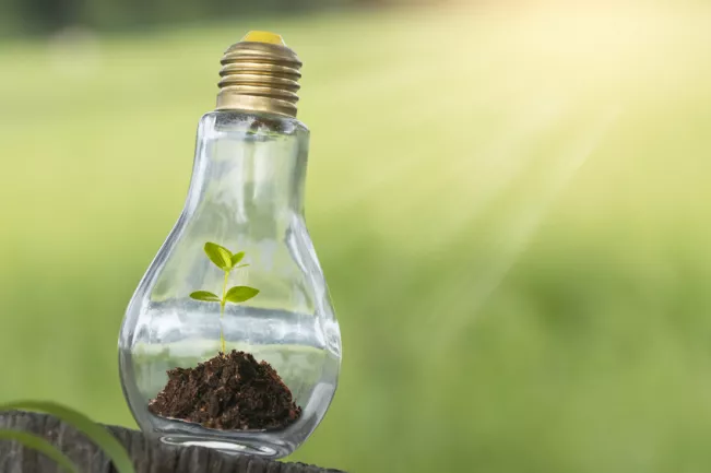 fotolia_162255355_s.jpg (DE)