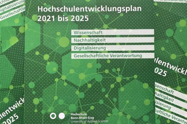 hochschulentwicklungplan_3_grafik_titelseite_cut.jpg (DE)