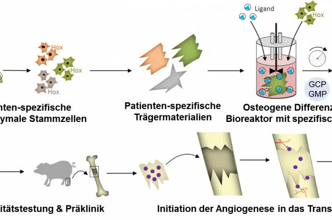 Grafik Arbeit ottensmeyer.png (DE)
