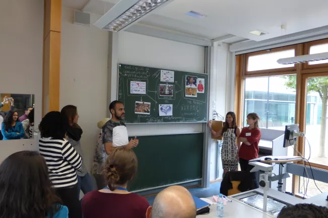 Studierende CSR&NGO Management bei einer Gruppenpräsentation (DE)