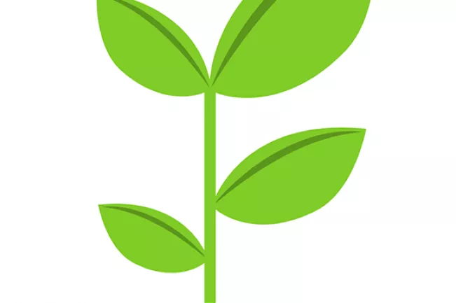 plant_canva.png (DE)