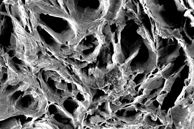 sem_sed_016.jpeg (DE)