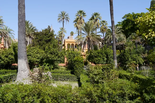 Europatag Sevilla (DE)