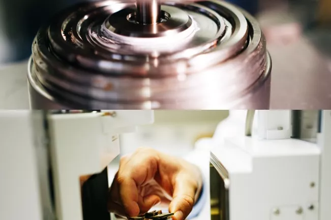 tree-screengrab-894.jpg (DE)