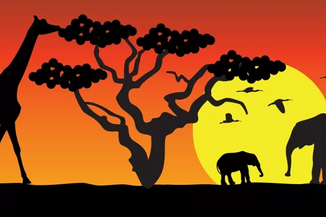 Elefanten und Giraffe in Savanne bei Sonnenuntergang colourbox 3563923 (DE)