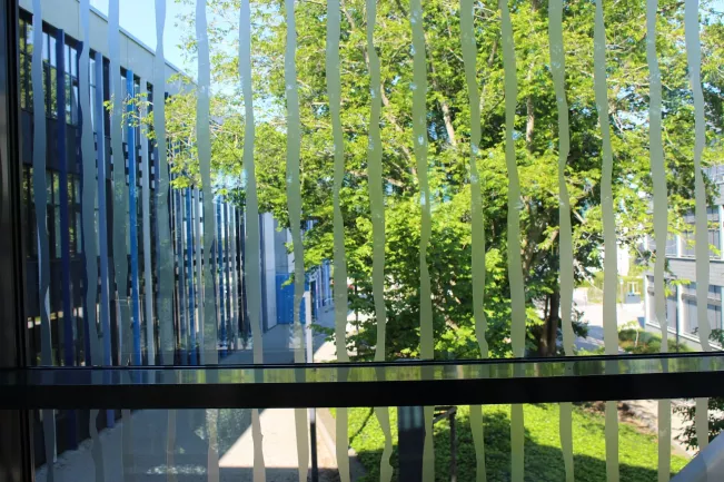 vogelschutz_glas_verbindungsgang_fenster_kuesgens.jpg (DE)