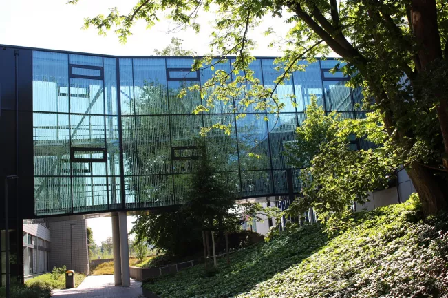 vogelschutz_glas_verbindungsgang_kuesgens.jpg (DE)