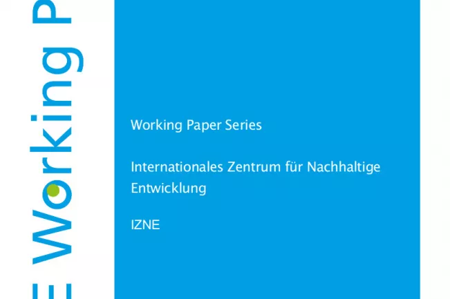 working_papers_word_deckblatt_final.jpg (DE)