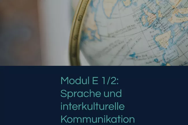 screenshot_2021-09-02_at_15-42-35_survival_guide_technikjournalimus_modulbild_2.png (DE)