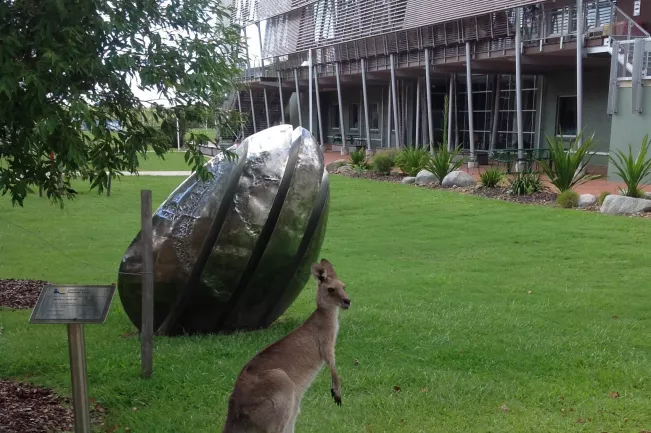 USC_Kaengurus.jpg (DE)