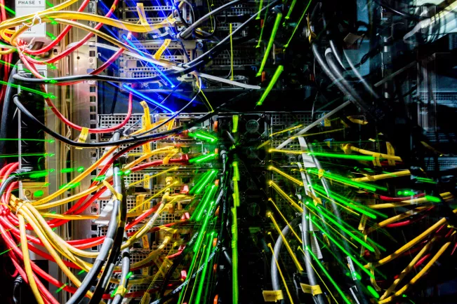 TREE Server 20220512 foto eric lichtenscheidt 06 fs22.jpg