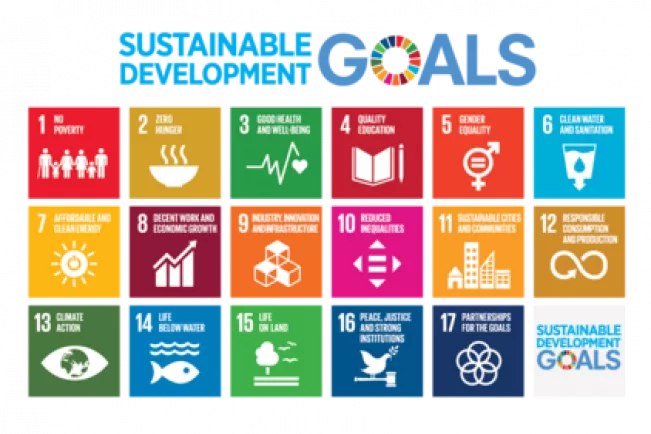 Goals Sustainable Development Grafik