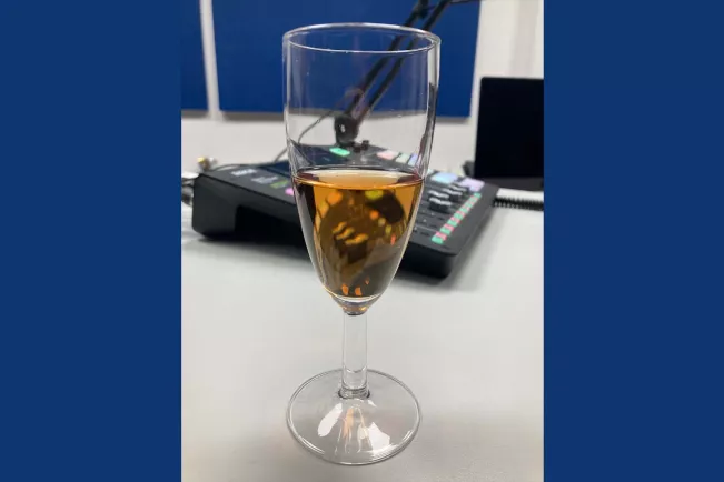 Bildungsfenster Jubiläum