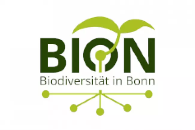 bion-banner.jpg