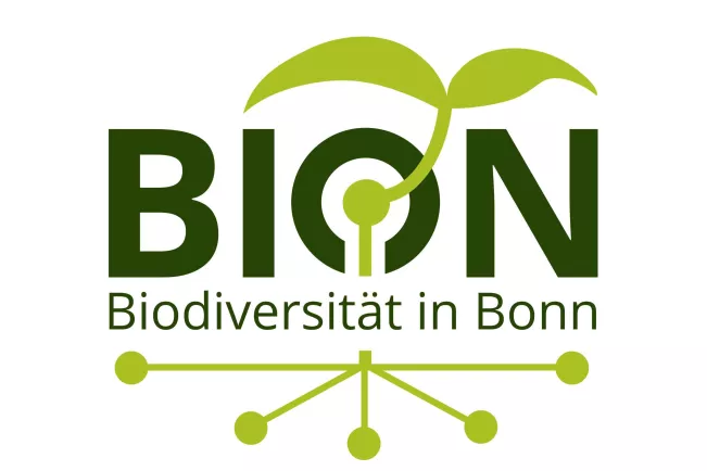 bion-banner.jpg