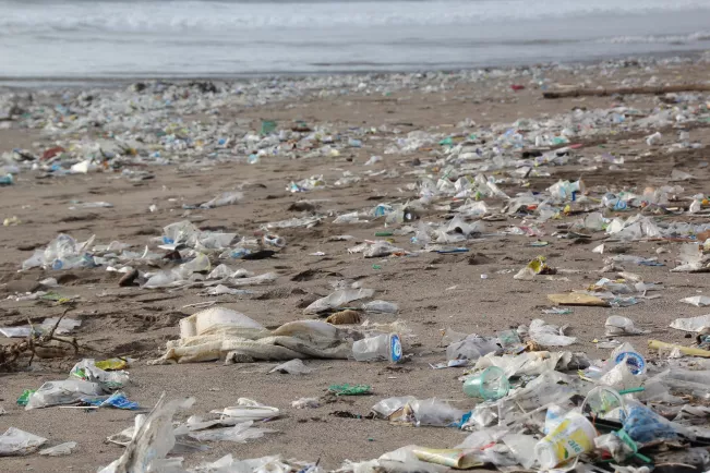 Plastikmüll am Strand_Foto H. Hacha auf Pixabay
