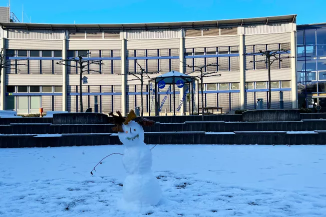 Snowman