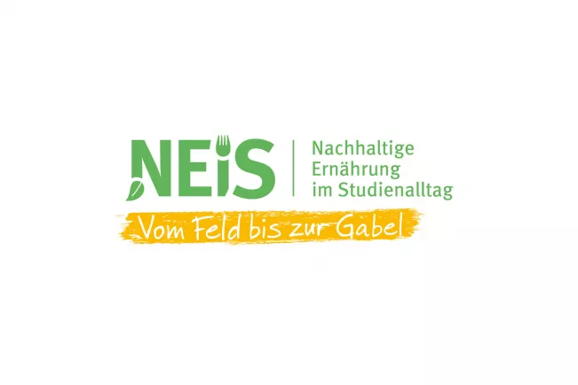 NEiS Logo HD quer
