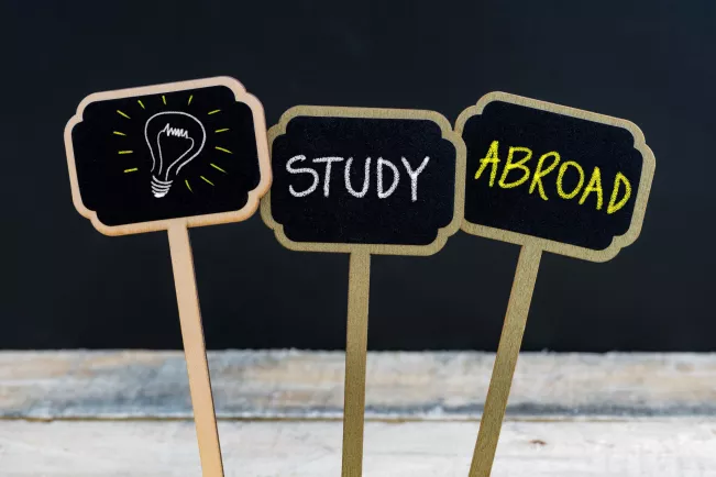 COLOURBOX22520416_study_abroad