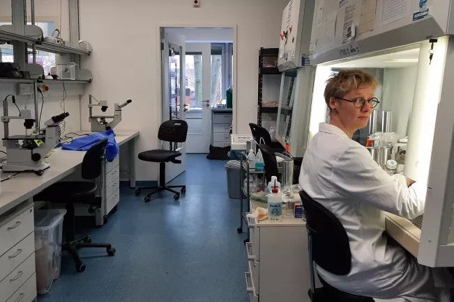 Labor Rheinbach Gebäude F Februar 2023