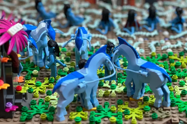 17.06.2023 Absolut Steinchen in der H-BRS