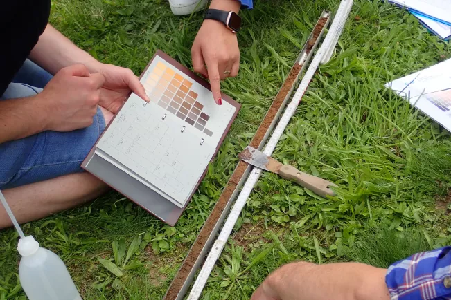 Blockseminar Nachhaltigkeit und Bodenschutz, Hamer