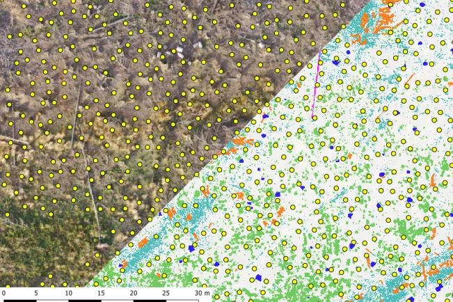 20231016_fbinf_Garrulus_seedplanning_Ahmad_Drak.png