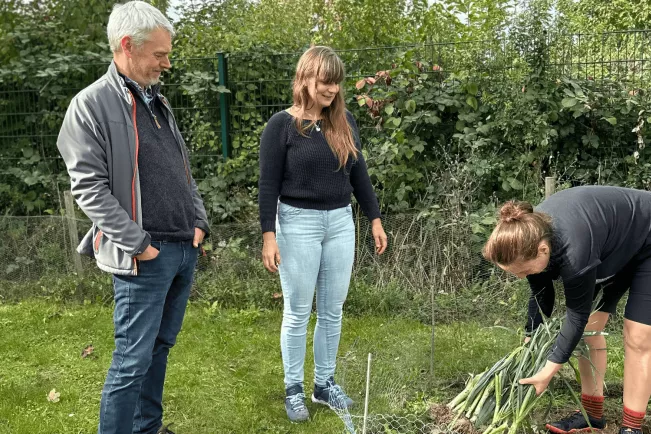 KLUGER Citizen Science Versuch Lauchernte