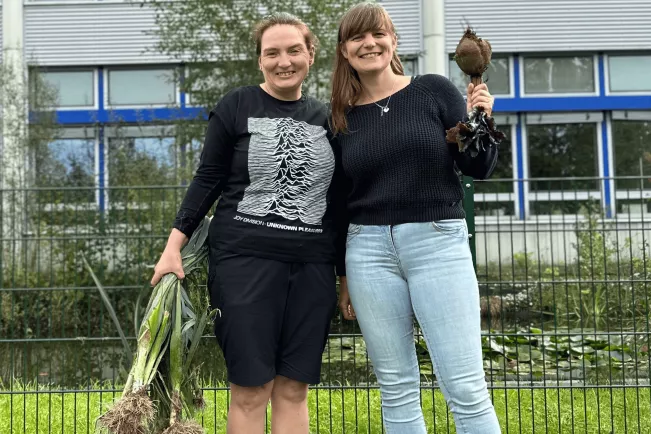 KLUGER Citizen Science Versuch Lauchernte - Antonini, Gutmann 1