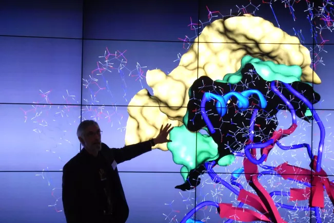 IVC virtuelle Räume Hornet Heiden