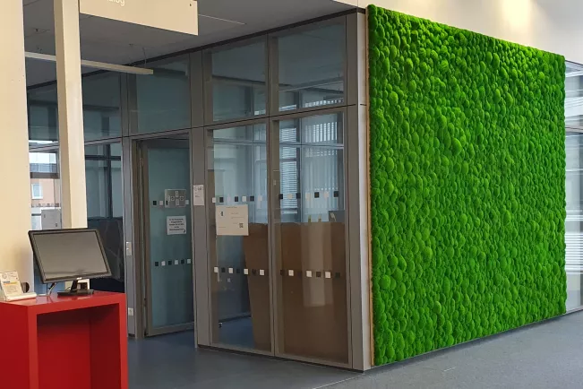 Bibliothek Rheinbach Mosswand