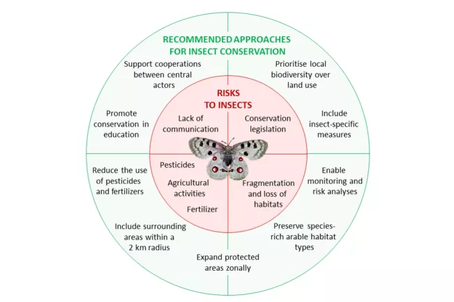DINA Risks-to-insects-in-nature-protected-areas-_red-circle_-and-recommended-approaches-for-improved-inse-2