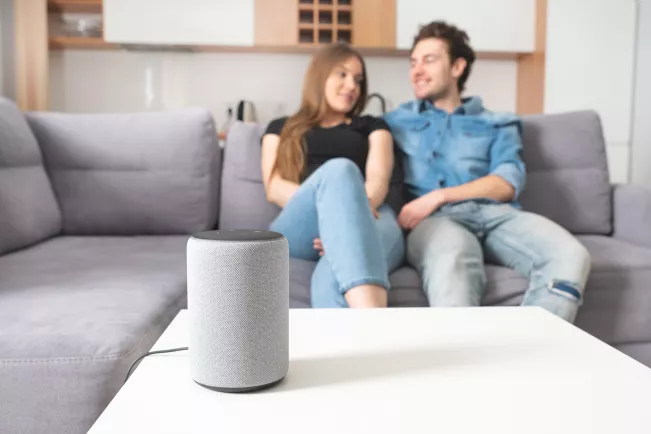 Symbolbild Smarthome mit Homebox Alexa im Wohnzimmer