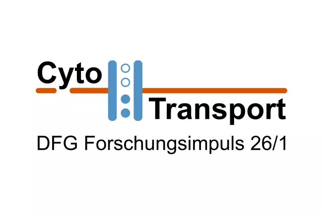 CytoTransport-Keyvisual