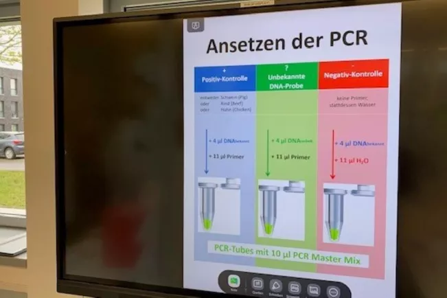 Schnuppertag Applied Biology 2024 2