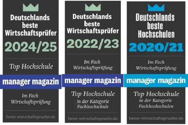 Wirtschaftspruefer Auszeichnungen kombiniert