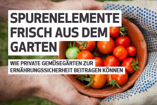 17Ziele Blogbeitrag Spurenelemente frisch aus dem Garten