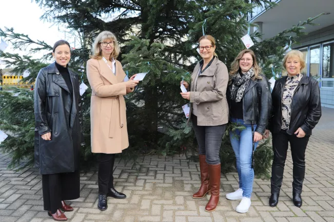 2024-11-26 Weihnachtswunschbaum Sankt Augustin Pressefoto