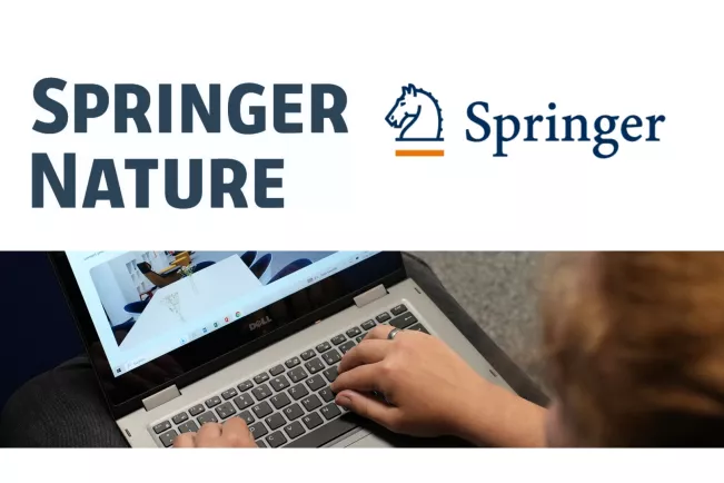 Springer E-Books