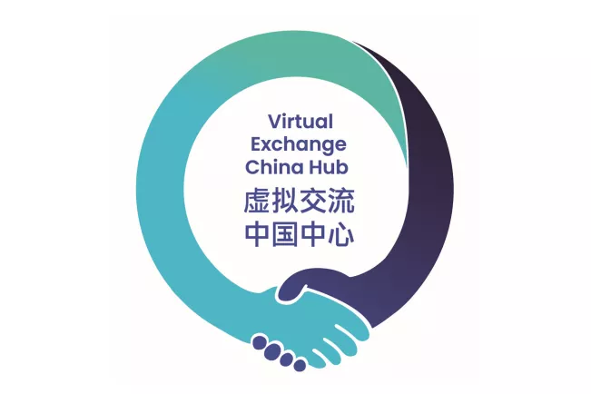 VE China Hub Logo