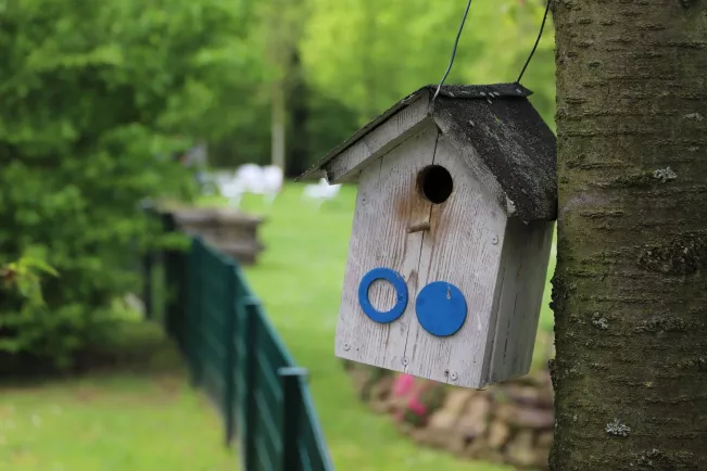 Campusgarten Fruehling mit Iris Gross StA 20250425 Foto Juri Kuestenmacher 19.JPG
