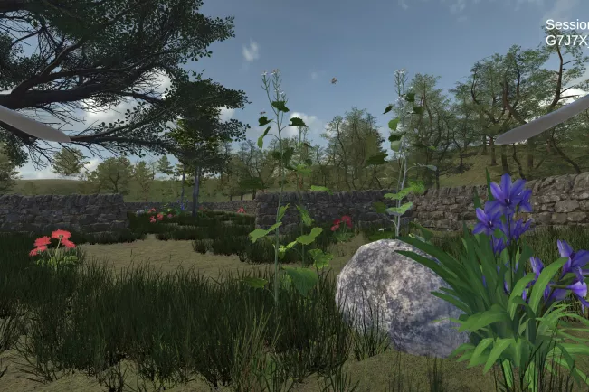 VR Schmetterlinge Projekt IVC