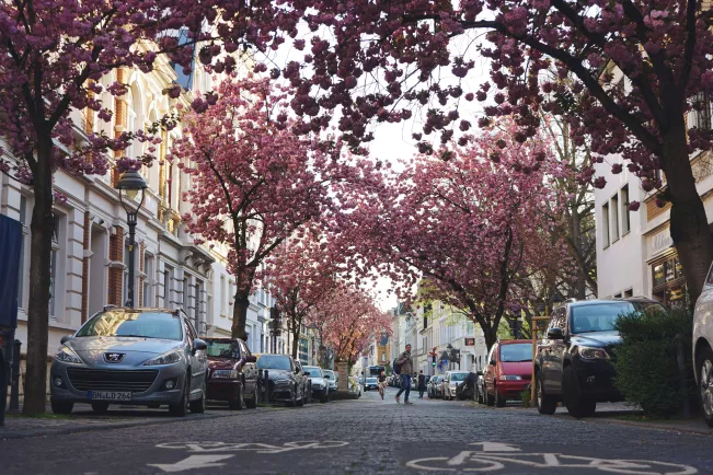 Bonn