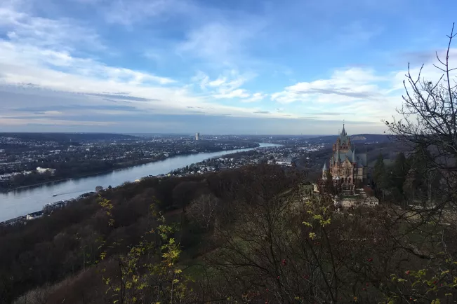 Drachenfels
