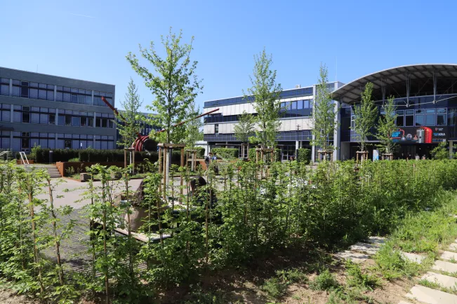 Campus Sankt Augustin Vorplatz Fruehling 20250428 Foto Juri Kuestenmacher 04.jpg